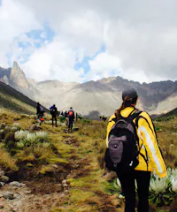 Study Abroad
