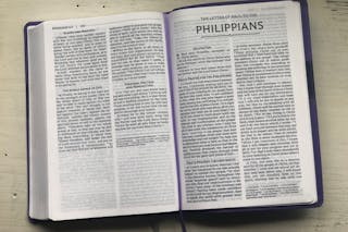 A Bible Scholar Explains Bible Commentaries