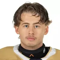 Austin Ryman, goaltender. Anchored the conference's top scoring defense, highlighted by 36-save and 37-save shutouts against No. 15 UW-Stevens Point and St. Olaf. He recorded a season-high 44 saves to preserve a pivotal mid-season road victory over Saint John’s.