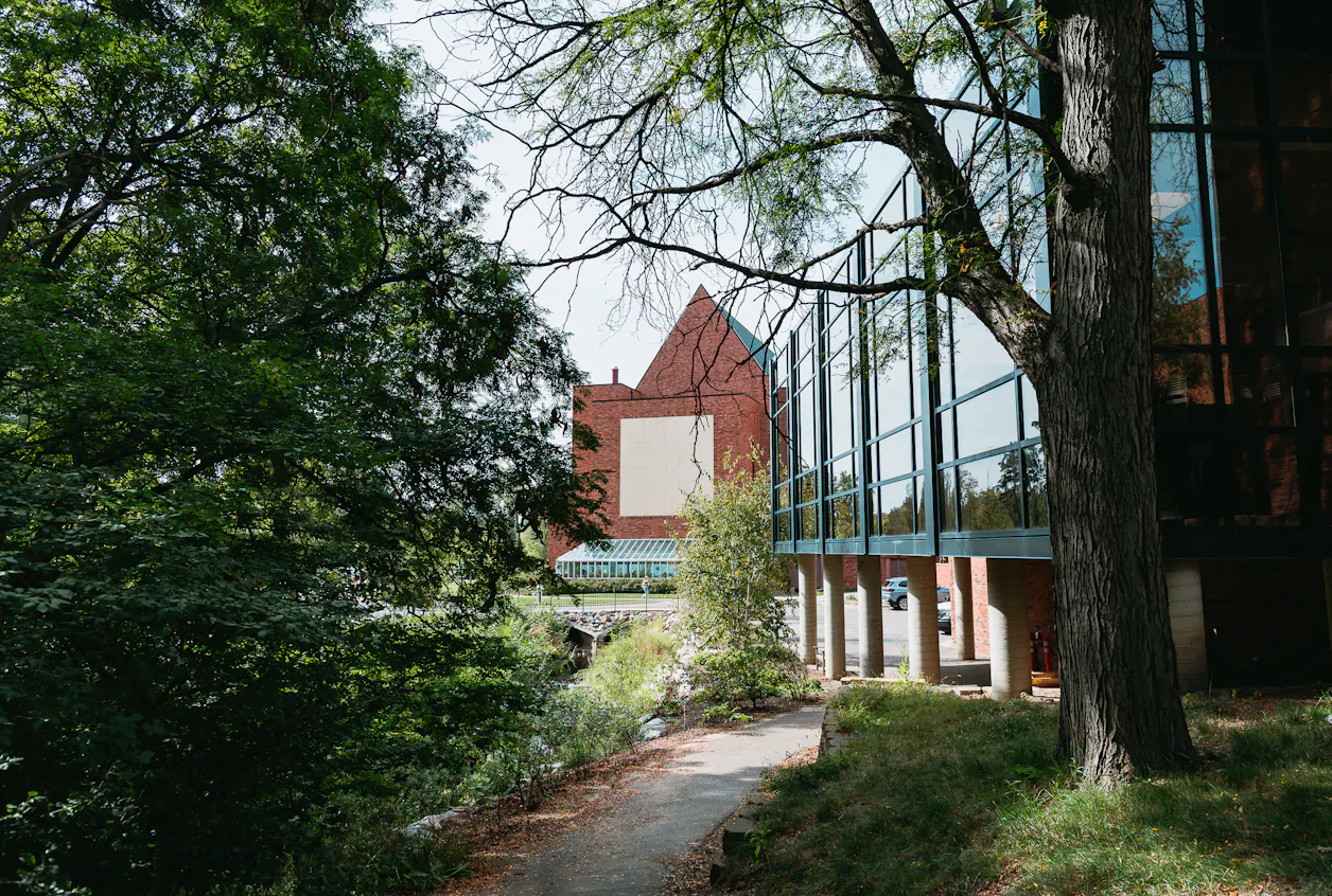 The exterior of Bethel University featuring a quiet, shaded walking path between buildings.