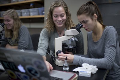Students using microscope