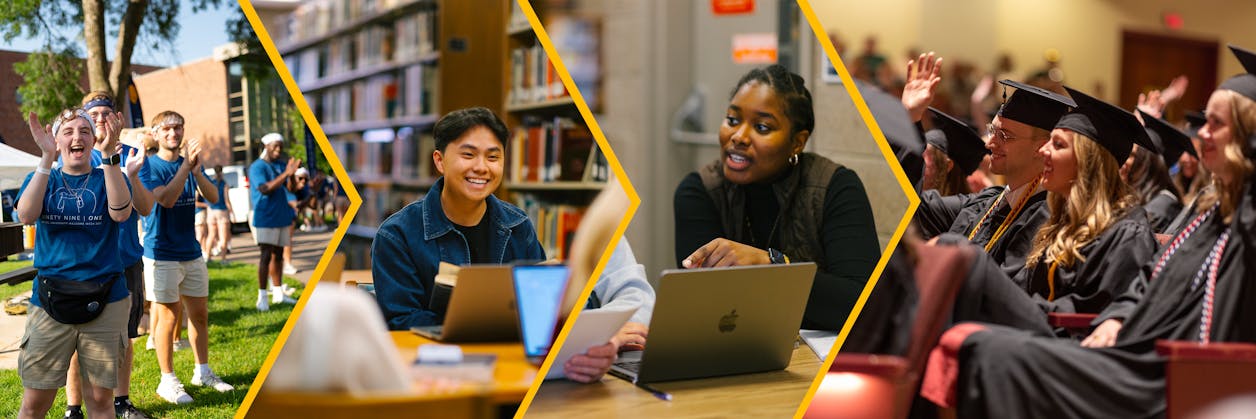 Career development roadmap resource