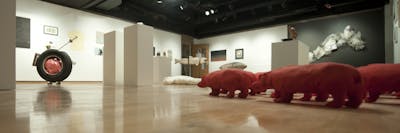 The Johnson Gallery