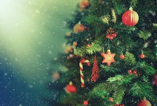 Christmas Tree