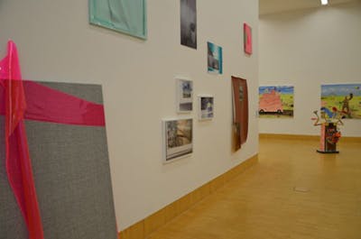 NYCAMS Director Curates Vienna Art Show
