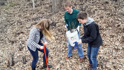 Volunteers Plant 800 Seedlings