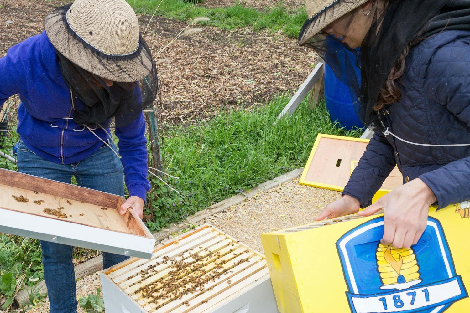 bee-hive-installed-in-on-campus-garden-bethel-university