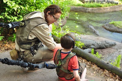 Teaching on the Wild Side: Danielle Freiermuth &amp;#8217;15