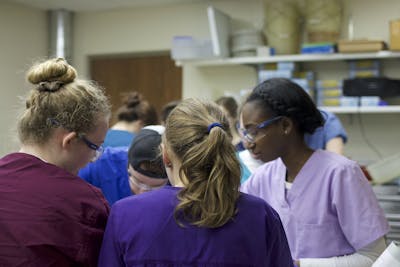 The Other Teachers in the Classroom: Human Cadavers