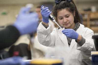 Bethel Announces 2018 Edgren Scholars