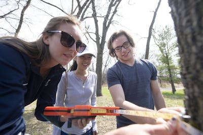 Students in BIO 126/127 determine tree height using a clinometer and tree girth using a Diameter at Breast Height (DBH) tape.