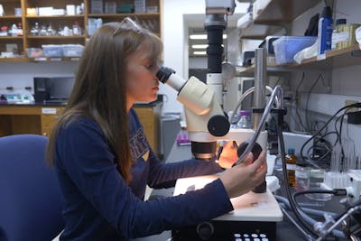 Maria Pecoraro ’19