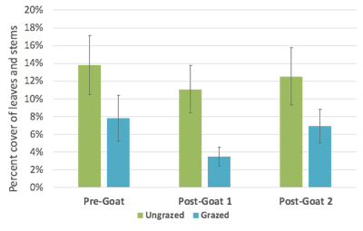 Chart of the average buckthorn leaves and stems in ungrazed and grazed pens: Pre-Goat (May), Post-Goat 1 (June) and Post-Goat 2 (September). 