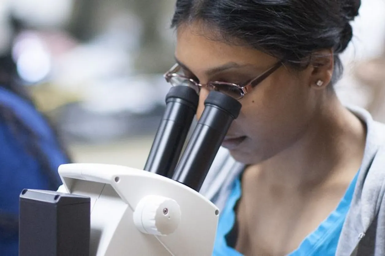 Microscope