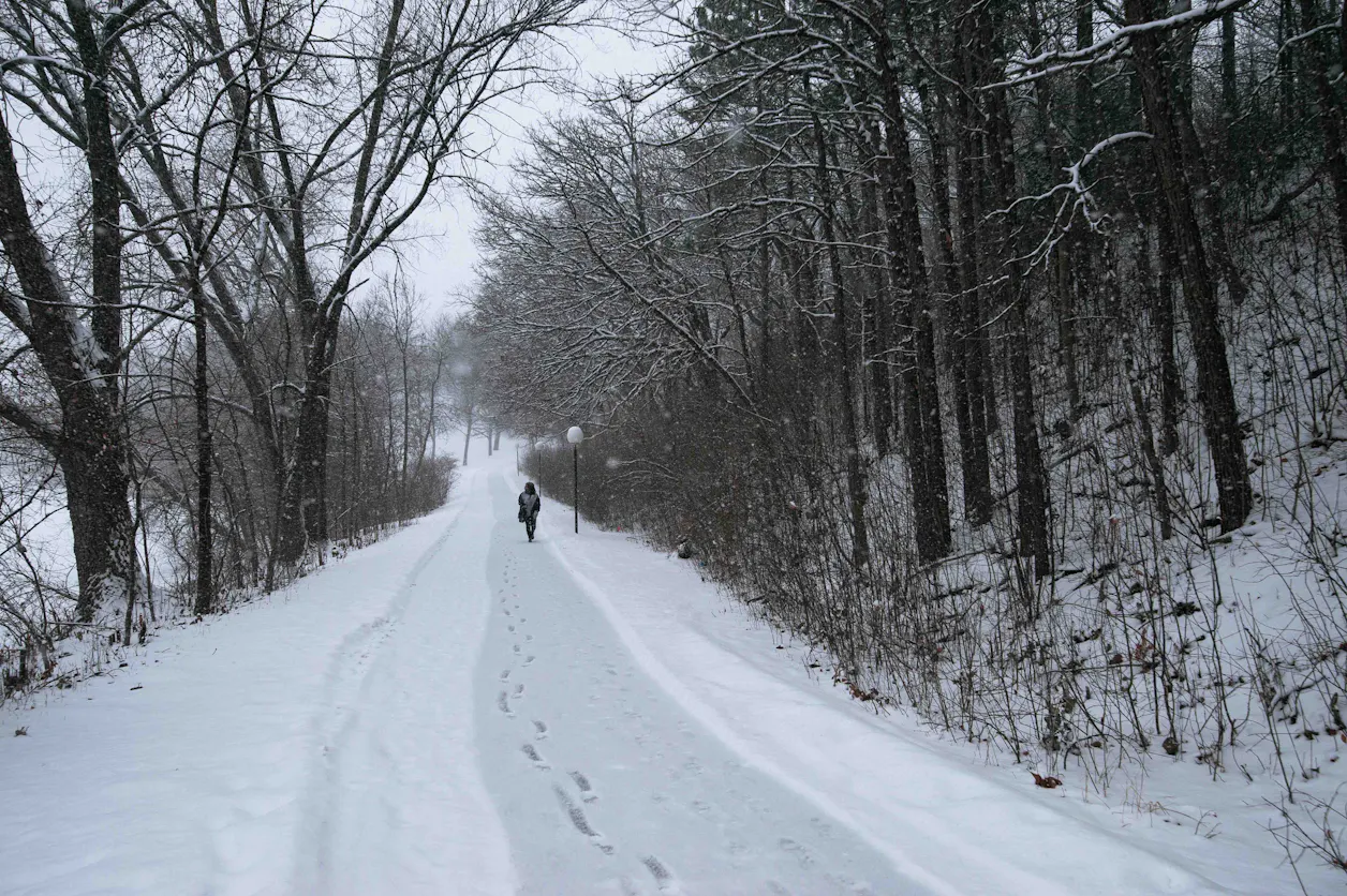Path Snow