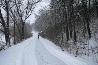 Path Snow