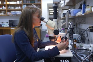 At Bethel, Maria Pecoraro ’19 has continued to develop her love of learning and has discovered how much she enjoys research as well. 