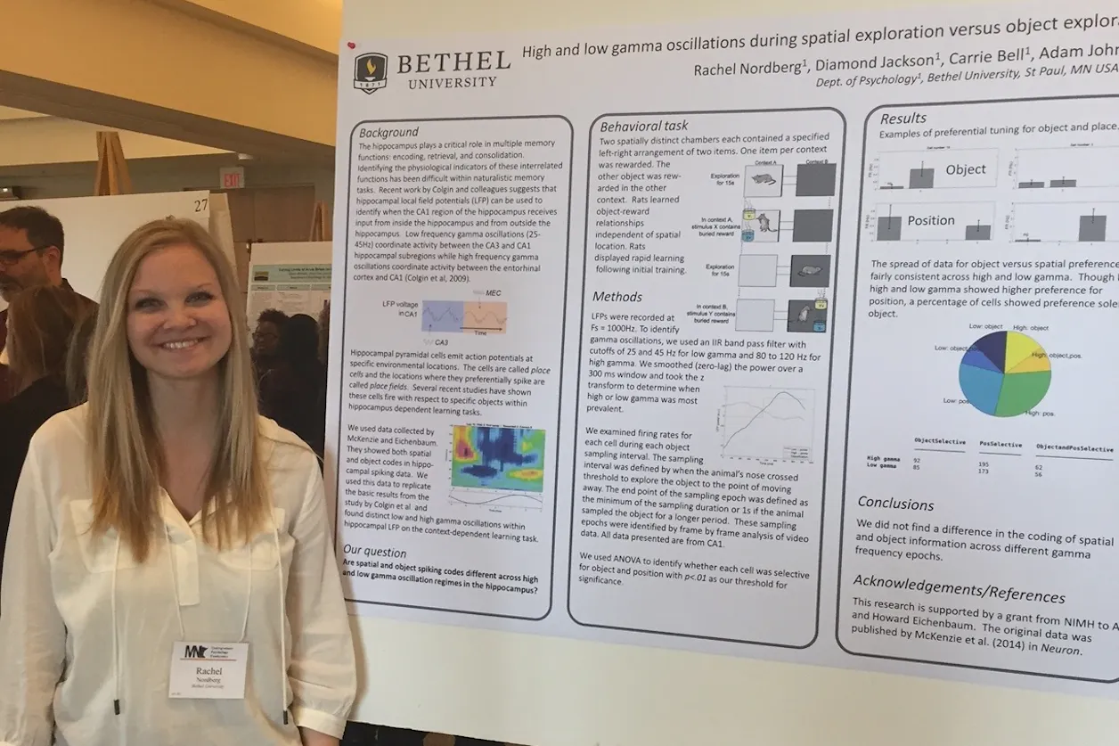 Rachel Nordberg ’19 presents a poster at the Minnesota Undergraduate Psychology Conference, in spring 2017. The poster featured research from Professor of Neuroscience Adam Johnson’s lab.