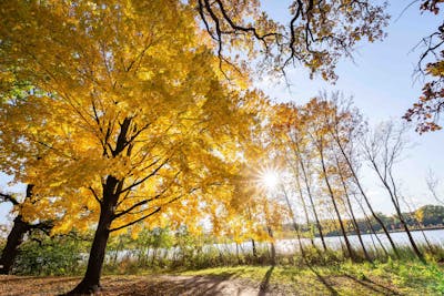 "Each of us has the opportunity to use our agency and intentionally invest in our individual, interpersonal and systemic wellbeing which can foster renewal in this world,” says Christine Osgood, director of wellbeing initiatives. 