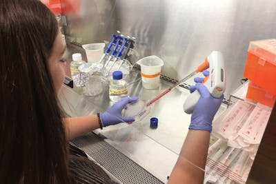 Student Korbyn Dahlquist ’20 is part of a research team developing less-invasive test for non-alcoholic fatty liver disease (NAFLD).