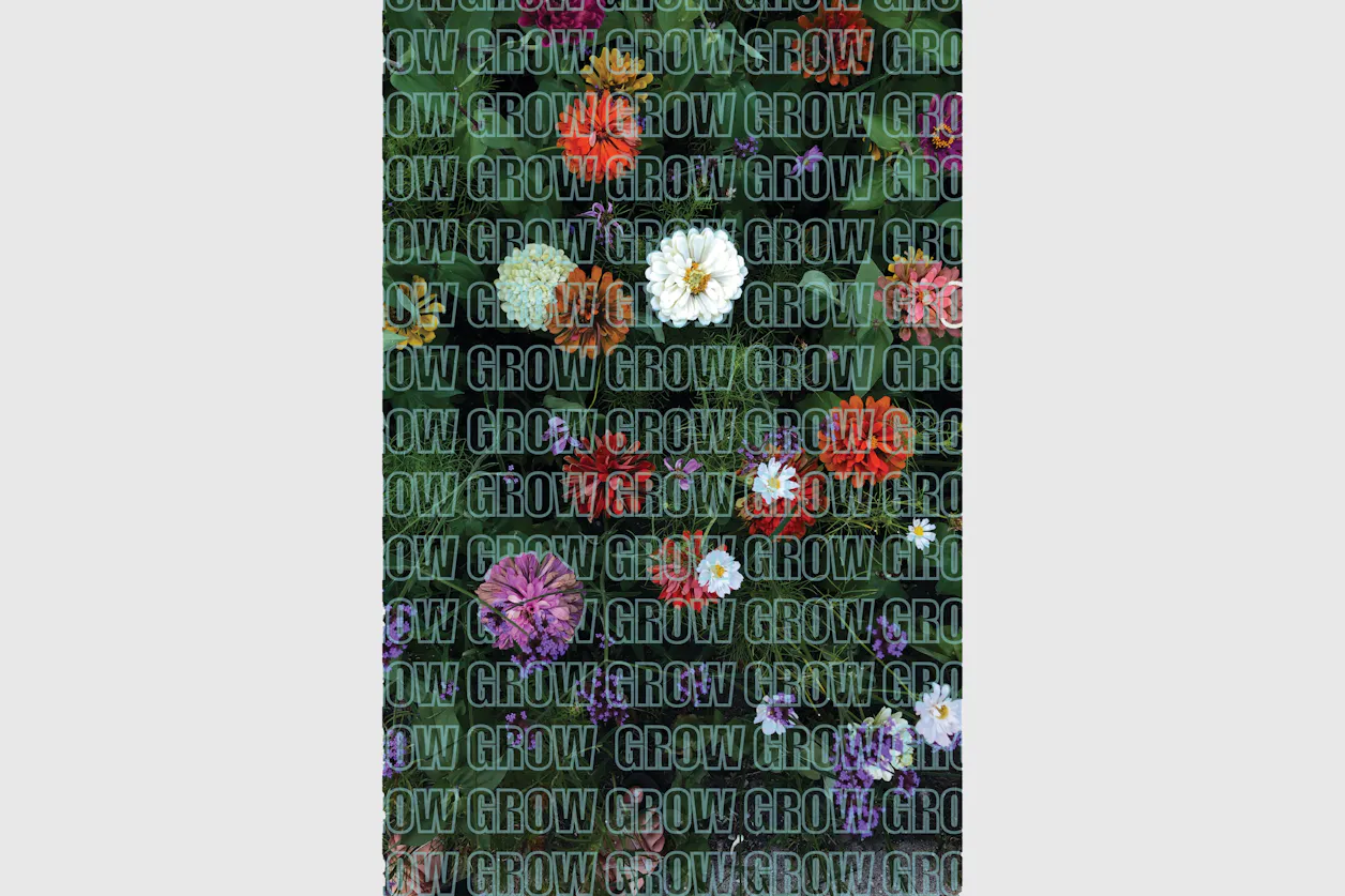 Design by Eleanor Carlson ’22