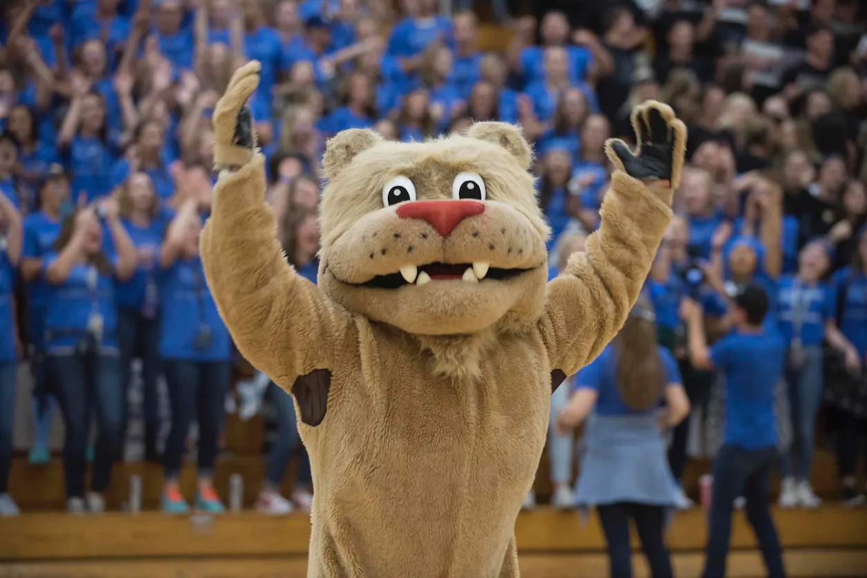 Roar Day 2020