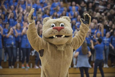 Roar Day 2020