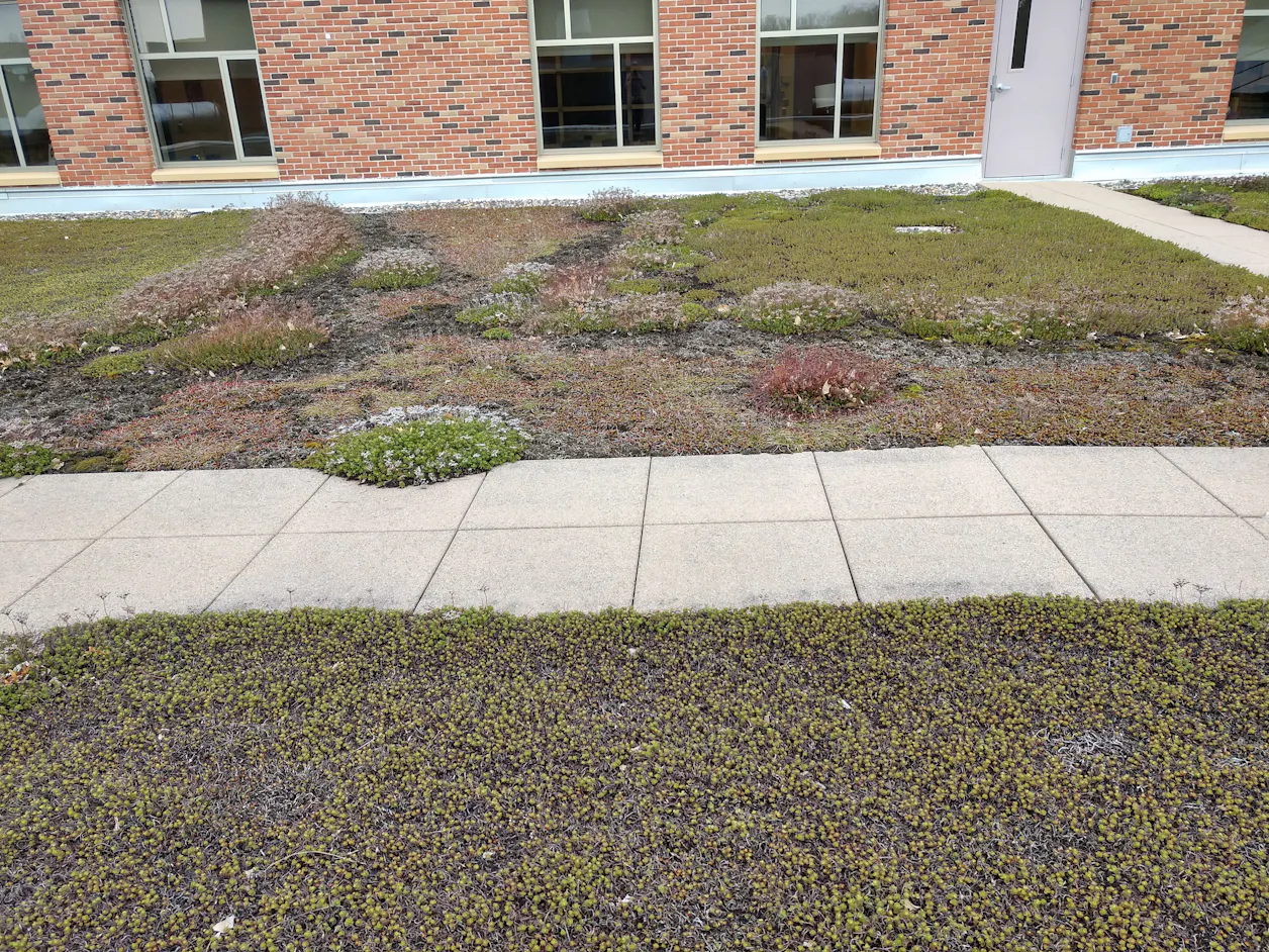 The Green Roof can be seen from The Garage in the Loft. 