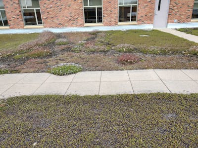 The Green Roof can be seen from The Garage in the Loft. 