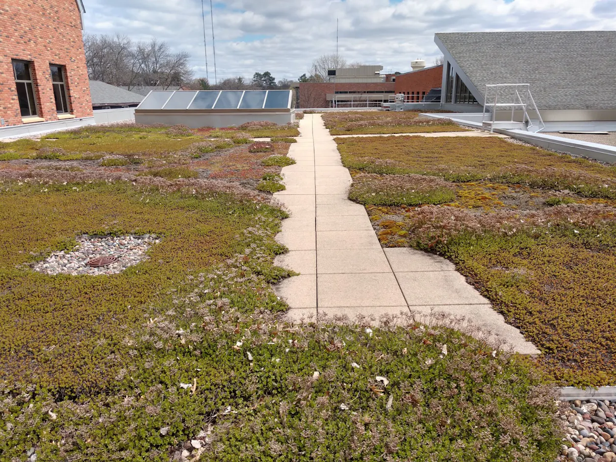 The Bethel Green Roof is made of 15 different species of sedum, a type of succulent.