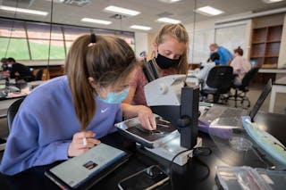 Biology students at Bethel now have the benefit of studying insects from around the world from the comfort of their own labs.
