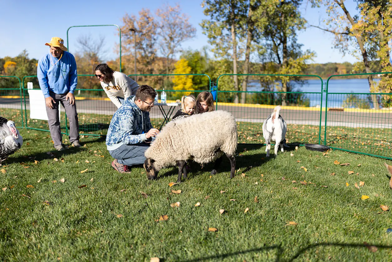 Little Blue’s Traveling Zoo