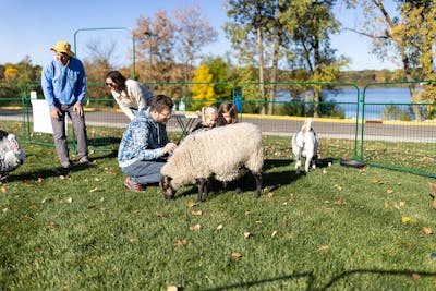 Little Blue’s Traveling Zoo
