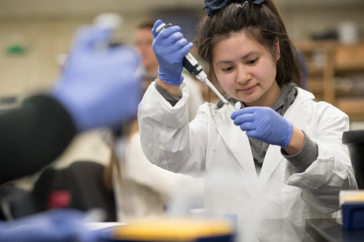 Bethel University M.S. in Medical Sciences program