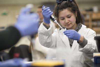Bethel University M.S. in Medical Sciences program