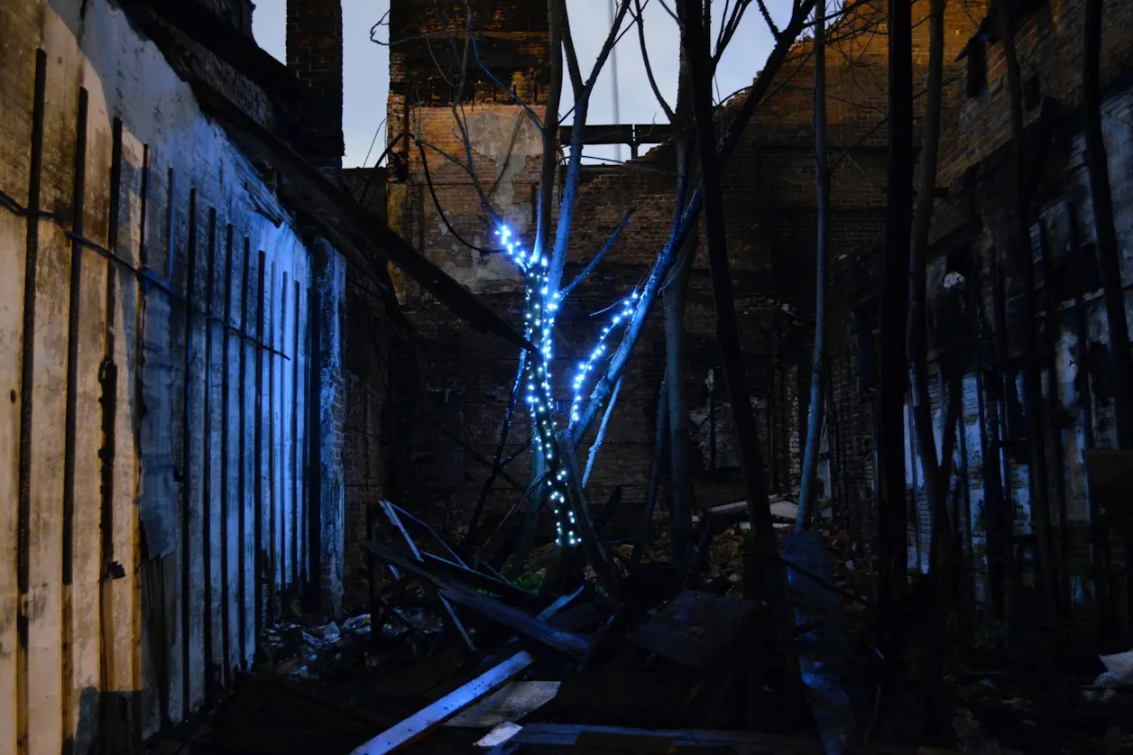Dislocate | solar string lights on found tree