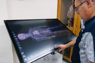 Brent Hoernemann, laboratory and safety coordinator for Bethel's Department of Biological Sciences, helped install the Anatomage Table, a life-sized virtual anatomy table that allows you to dissect mammal species without physical cadavers.