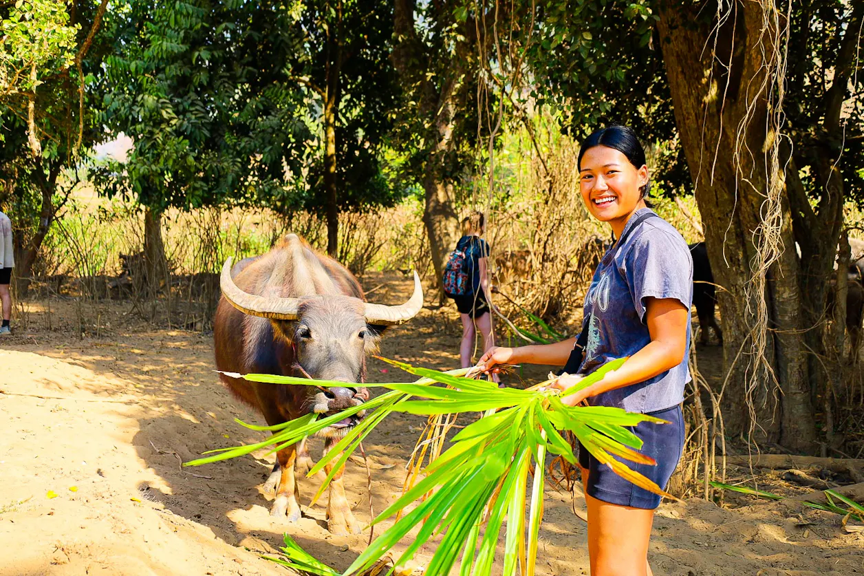 Lulu Shwe ’25