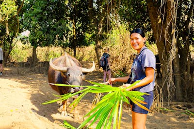 Lulu Shwe ’25