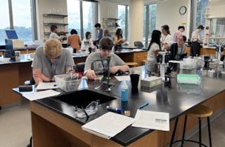 Students work in teams using lab equipment during Bethel University’s Forensic Science Camp.