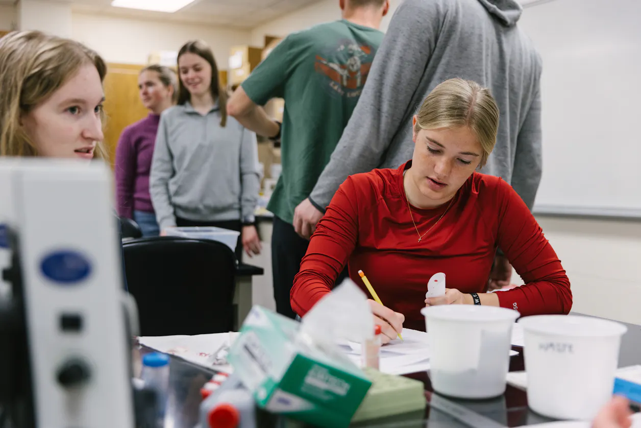 Students discuss and work together in a biology lab.