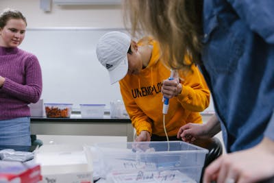 Students concentrate on a hands-on biology activity.