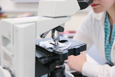 A student examines a sample through a microscope.