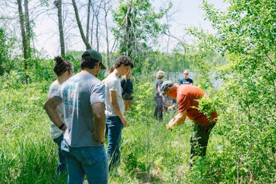 Students are gathered around a professor who is showing them something in a grassy