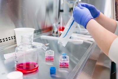 Hands in blue gloves handling lab equipment, preparing samples in a science lab.