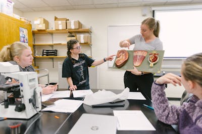 Students in a classroom, one pointing at a detailed anatomical model during a discussion.