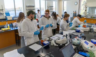 A classroom full of students in medical gloves participate in lab work.