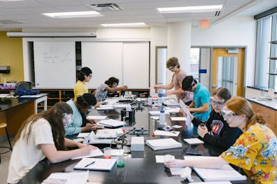 Group of students in a lab, all focused on their individual experiments.