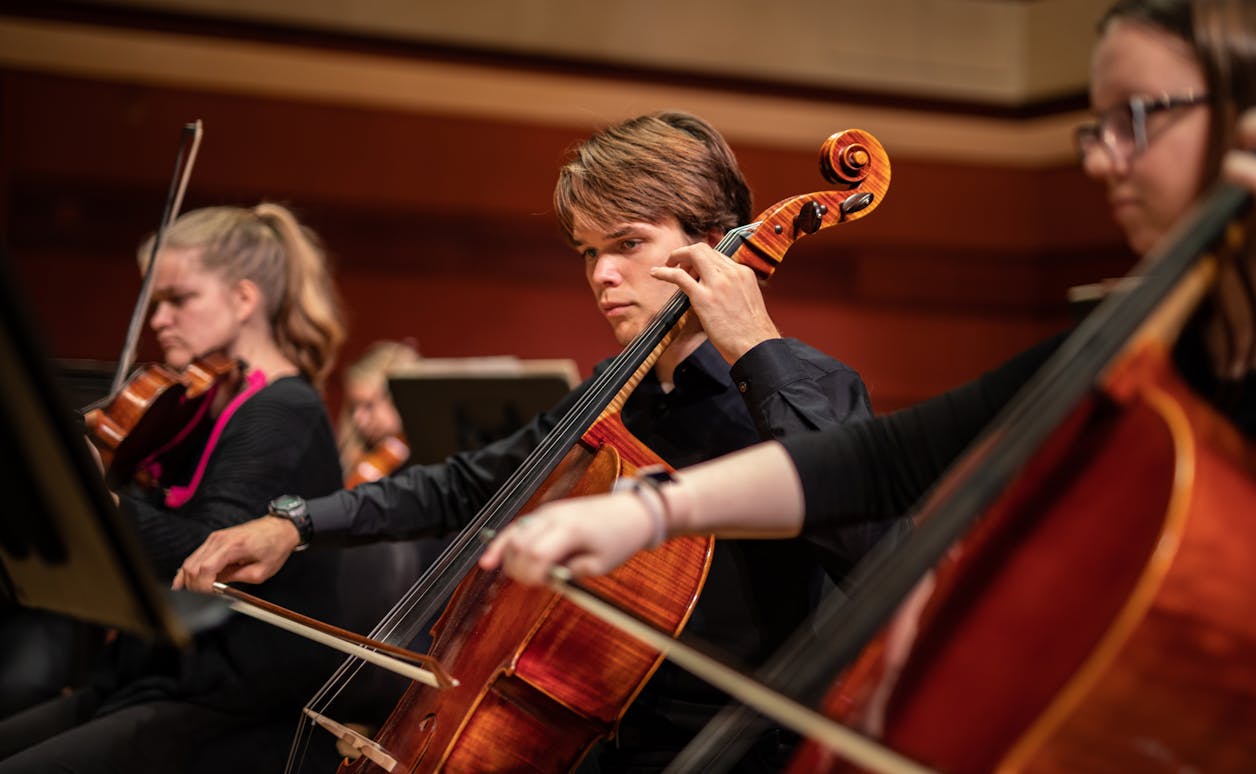 $majorImageDescription