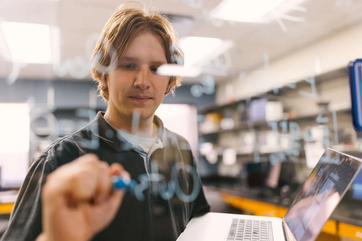 $majorImageDescription